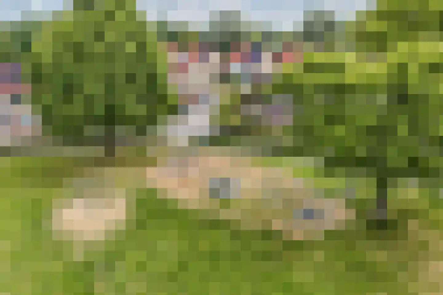 Hooizolder 86 Drachten thumbnail 41