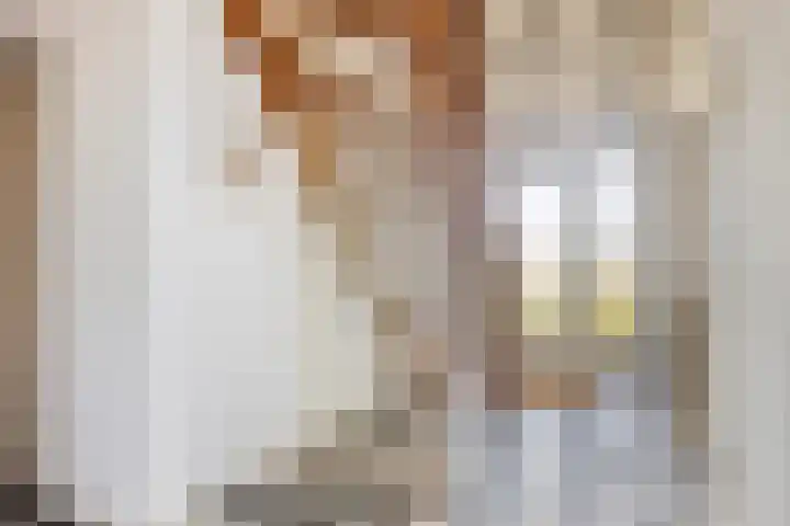 Hool 36 Erp thumbnail 10