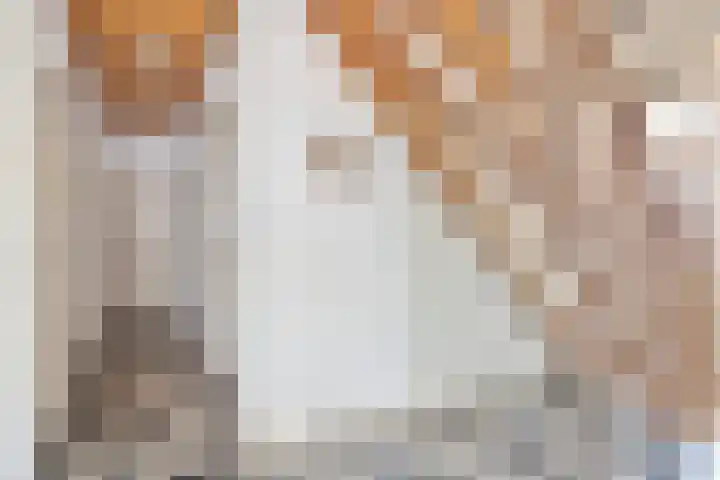 Hool 36 Erp thumbnail 11