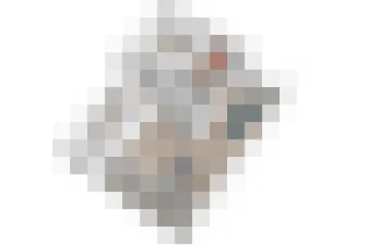 Hool 36 Erp thumbnail 14