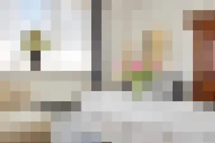 Hool 36 Erp thumbnail 16