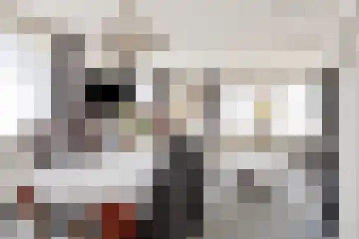 Hool 36 Erp thumbnail 18