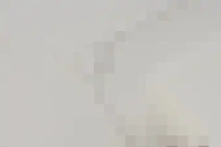 Hool 36 Erp thumbnail 19