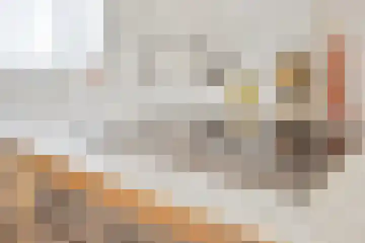 Hool 36 Erp thumbnail 21