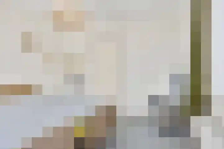 Hool 36 Erp thumbnail 30