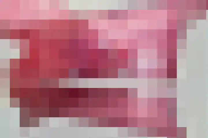 Hool 36 Erp thumbnail 38