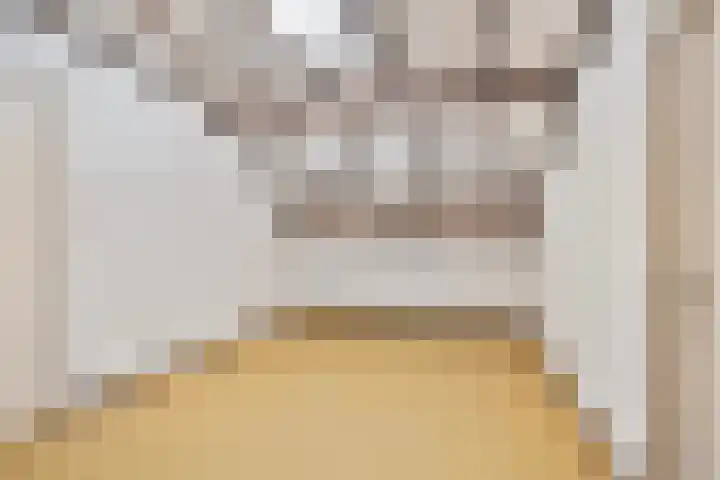 Hool 36 Erp thumbnail 44