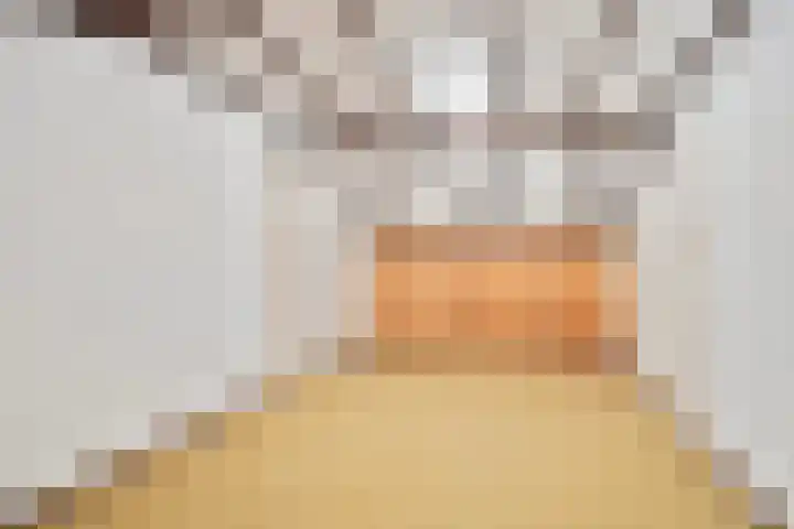 Hool 36 Erp thumbnail 45