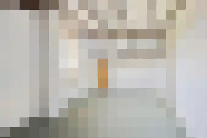 Hool 36 Erp thumbnail 47