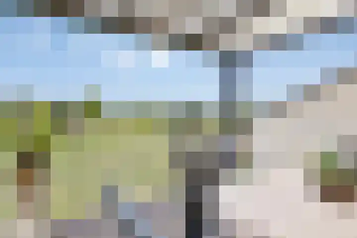 Hool 36 Erp thumbnail 52