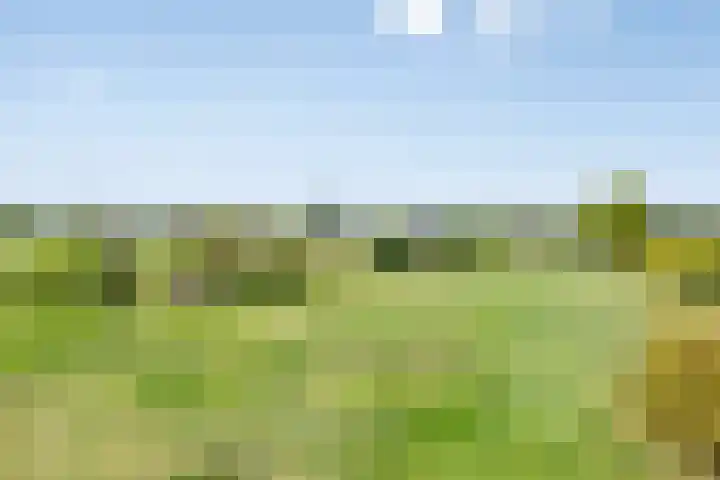 Hool 36 Erp thumbnail 53