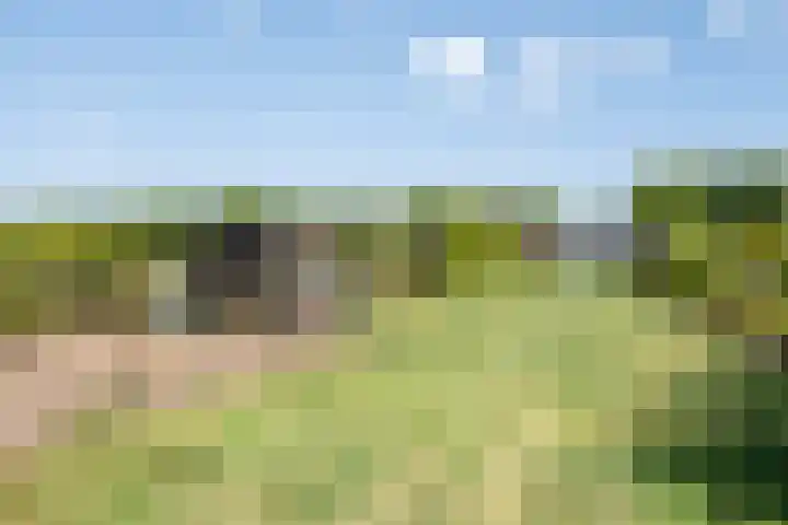 Hool 36 Erp thumbnail 54