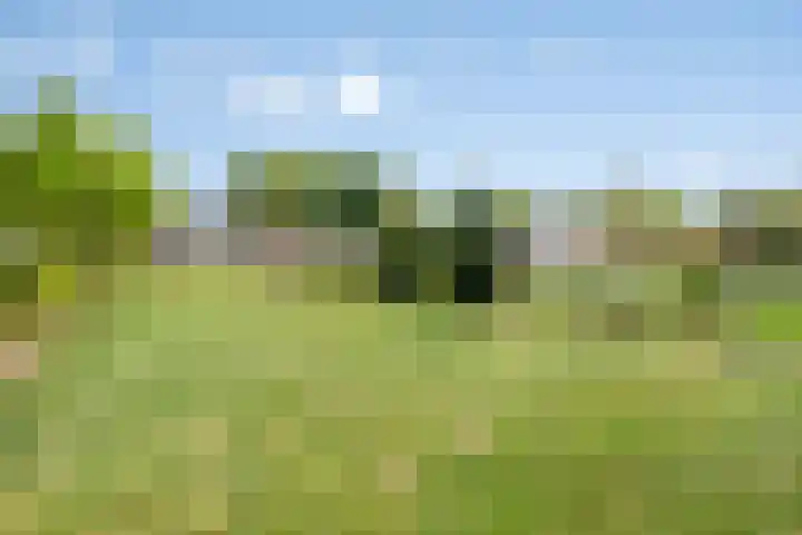 Hool 36 Erp thumbnail 55