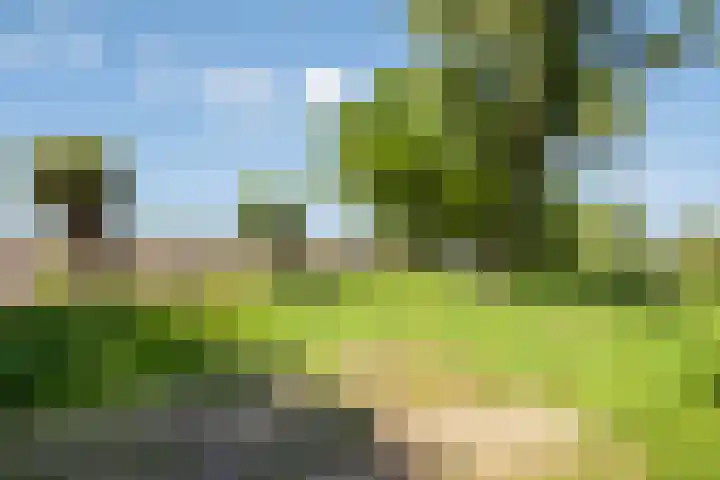 Hool 36 Erp thumbnail 58