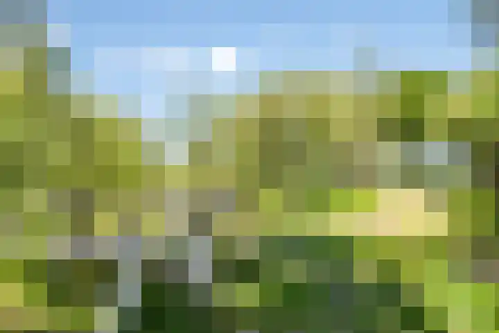 Hool 36 Erp thumbnail 59