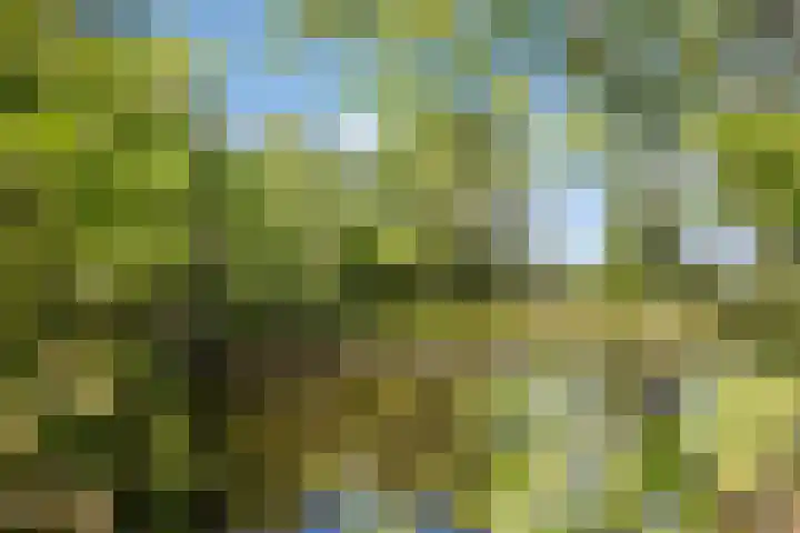 Hool 36 Erp thumbnail 60