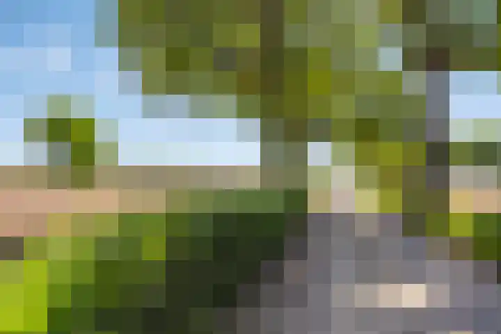 Hool 36 Erp thumbnail 61