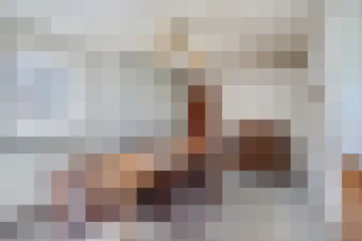 Hool 55 Erp thumbnail 12