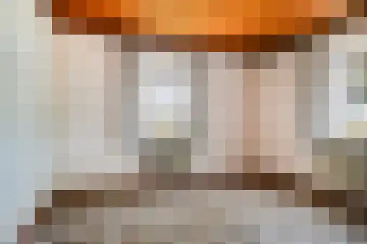Hool 55 Erp thumbnail 14