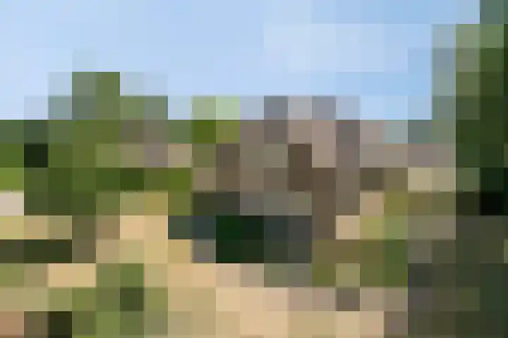 Hool 55 Erp thumbnail 33
