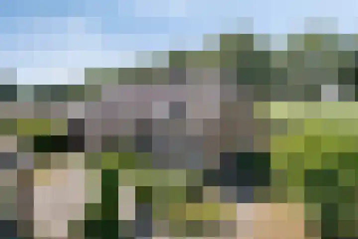 Hool 55 Erp thumbnail 34