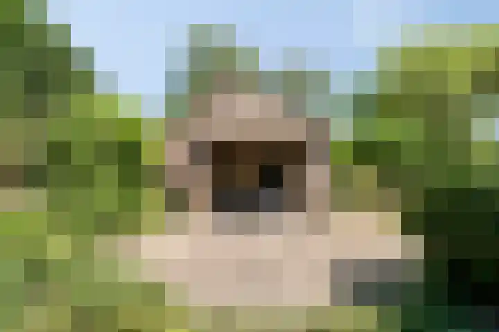 Hool 55 Erp thumbnail 35