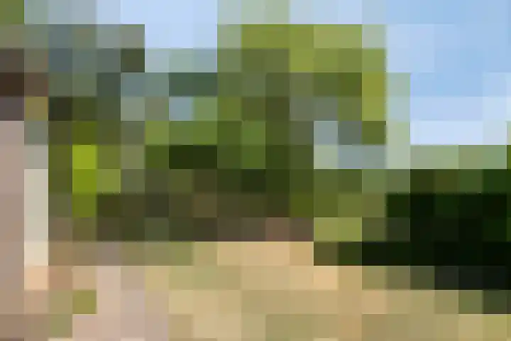 Hool 55 Erp thumbnail 36