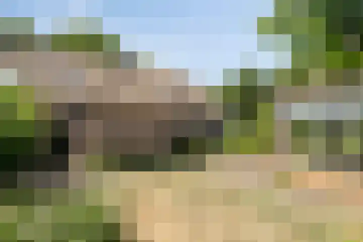 Hool 55 Erp thumbnail 38
