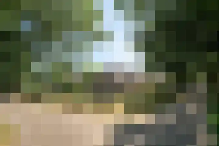 Hool 55 Erp thumbnail 4