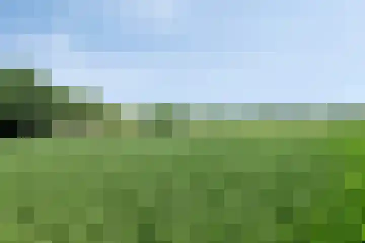 Hool 55 Erp thumbnail 40