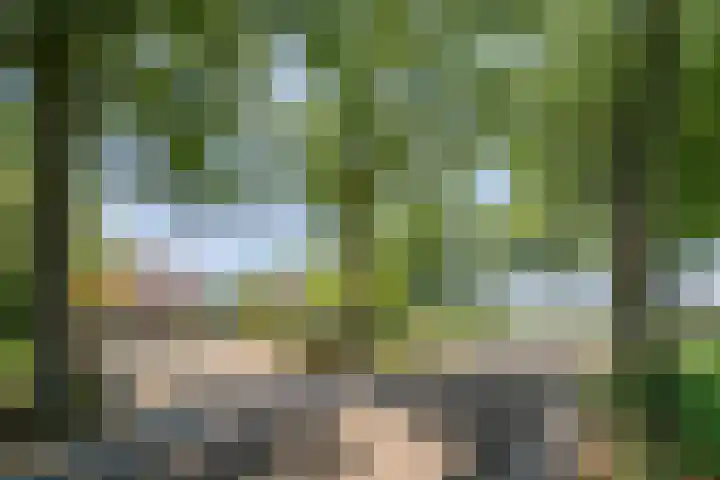 Hool 55 Erp thumbnail 5