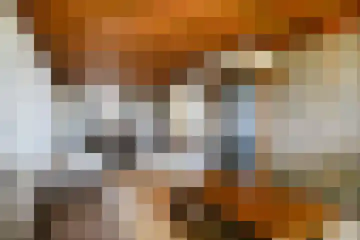 Hool 55 Erp thumbnail 8