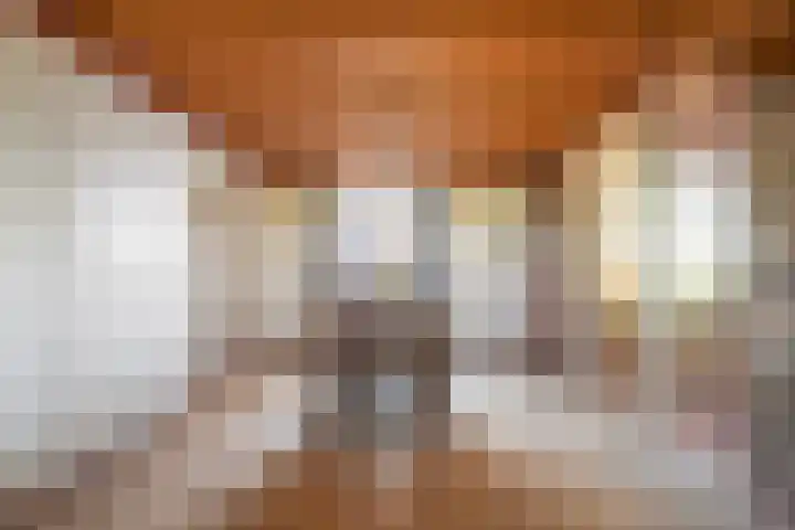 Hool 55 Erp thumbnail 9