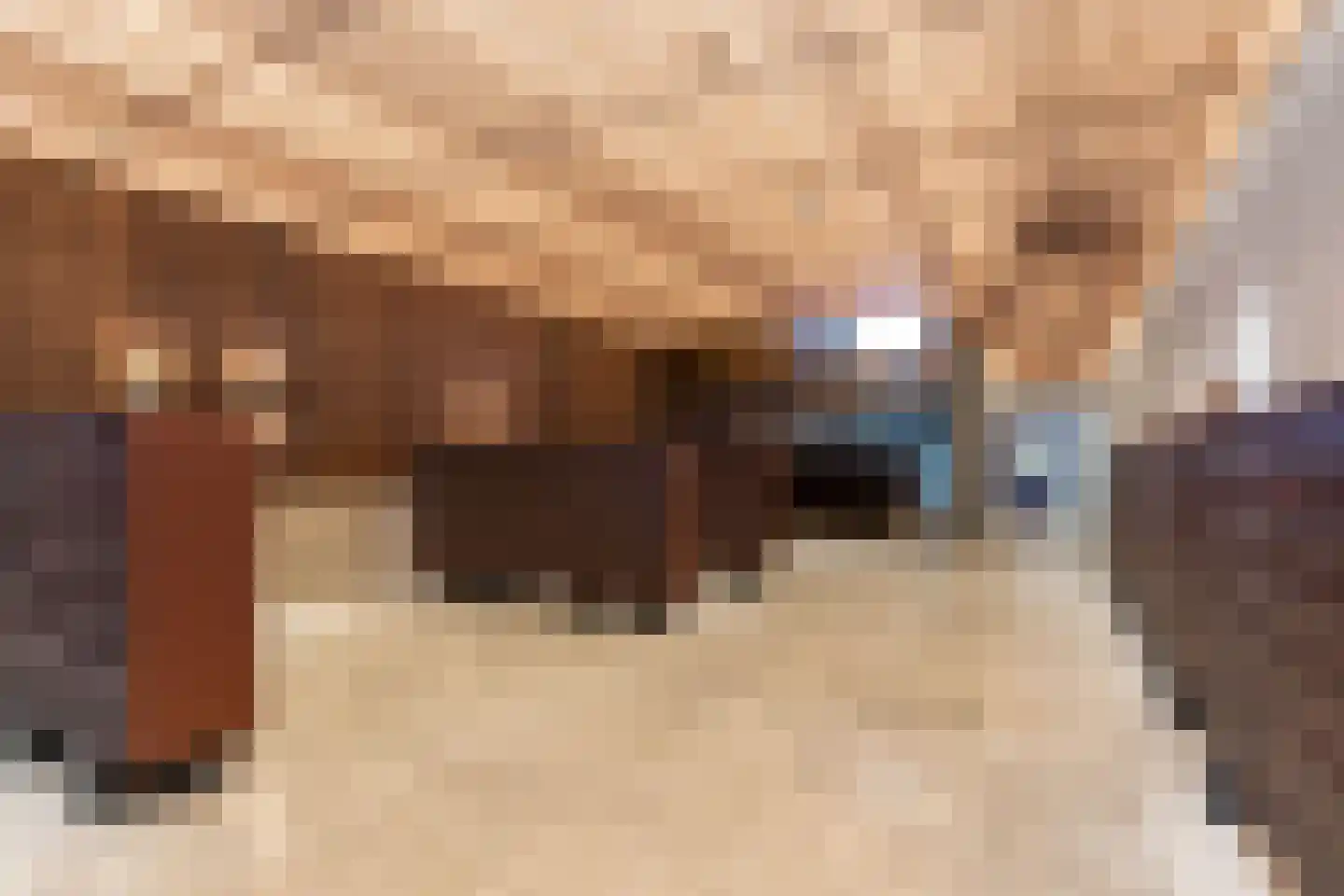Hoola van Nootenstraat 300 Utrecht thumbnail 29