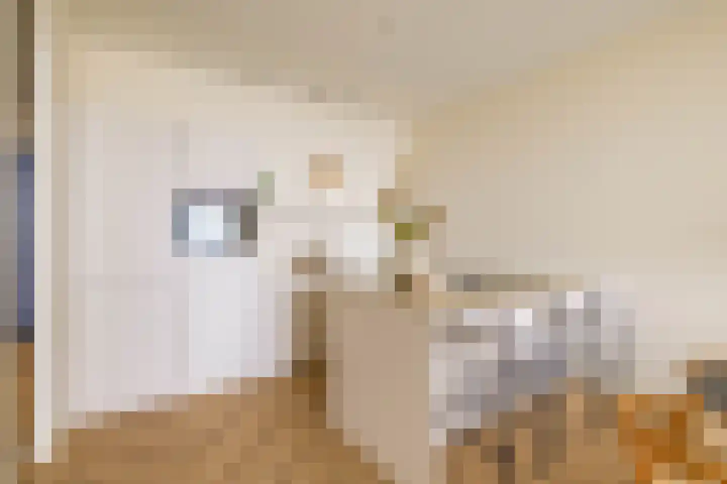 Hoola van Nootenstraat 331 Utrecht thumbnail 23
