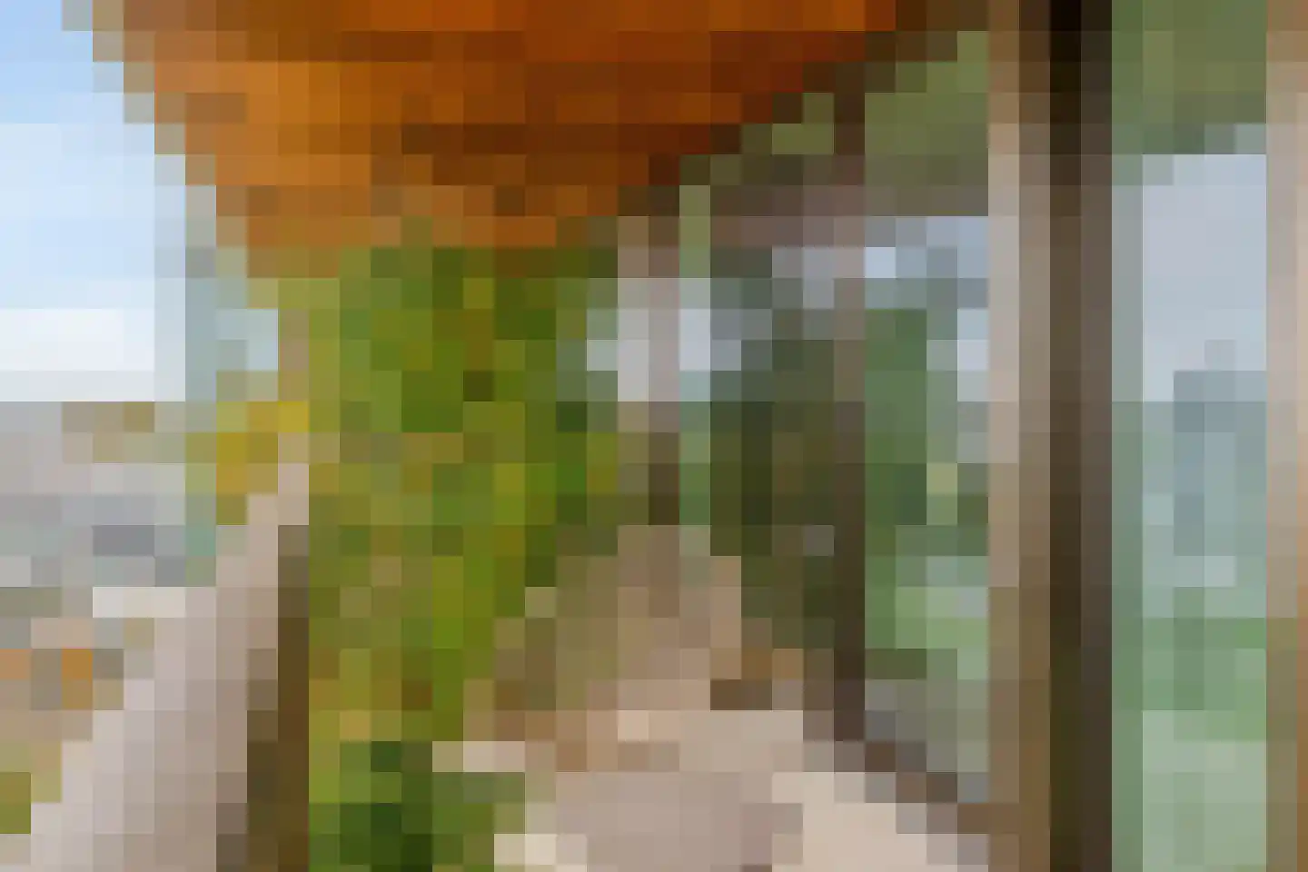 Hoola van Nootenstraat 331 Utrecht thumbnail 32