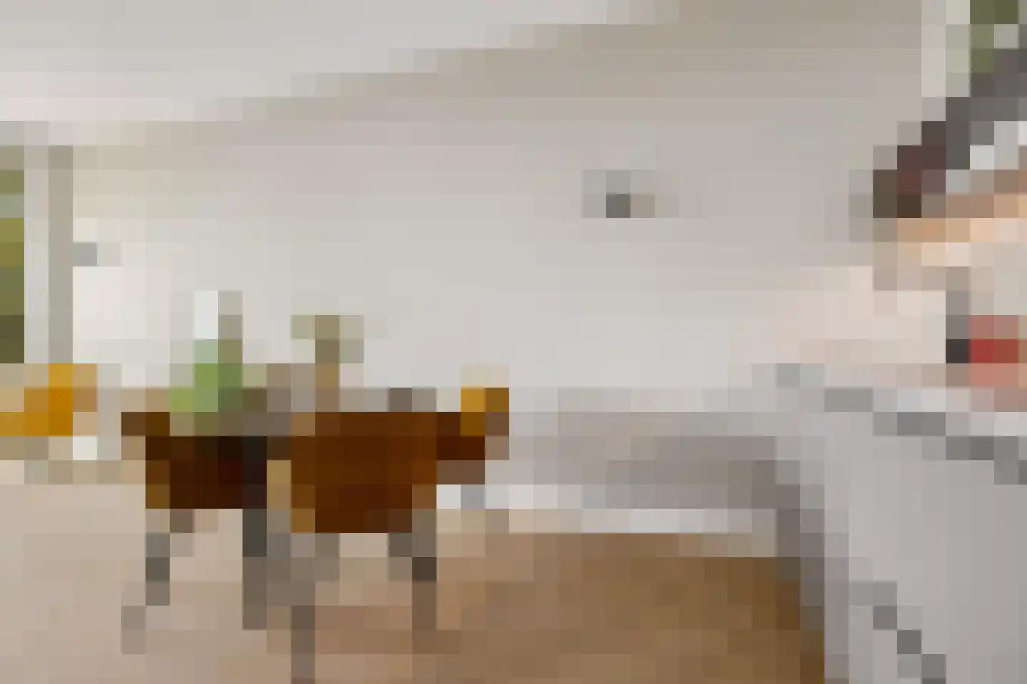 Hoola van Nootenstraat 334 Utrecht thumbnail 15