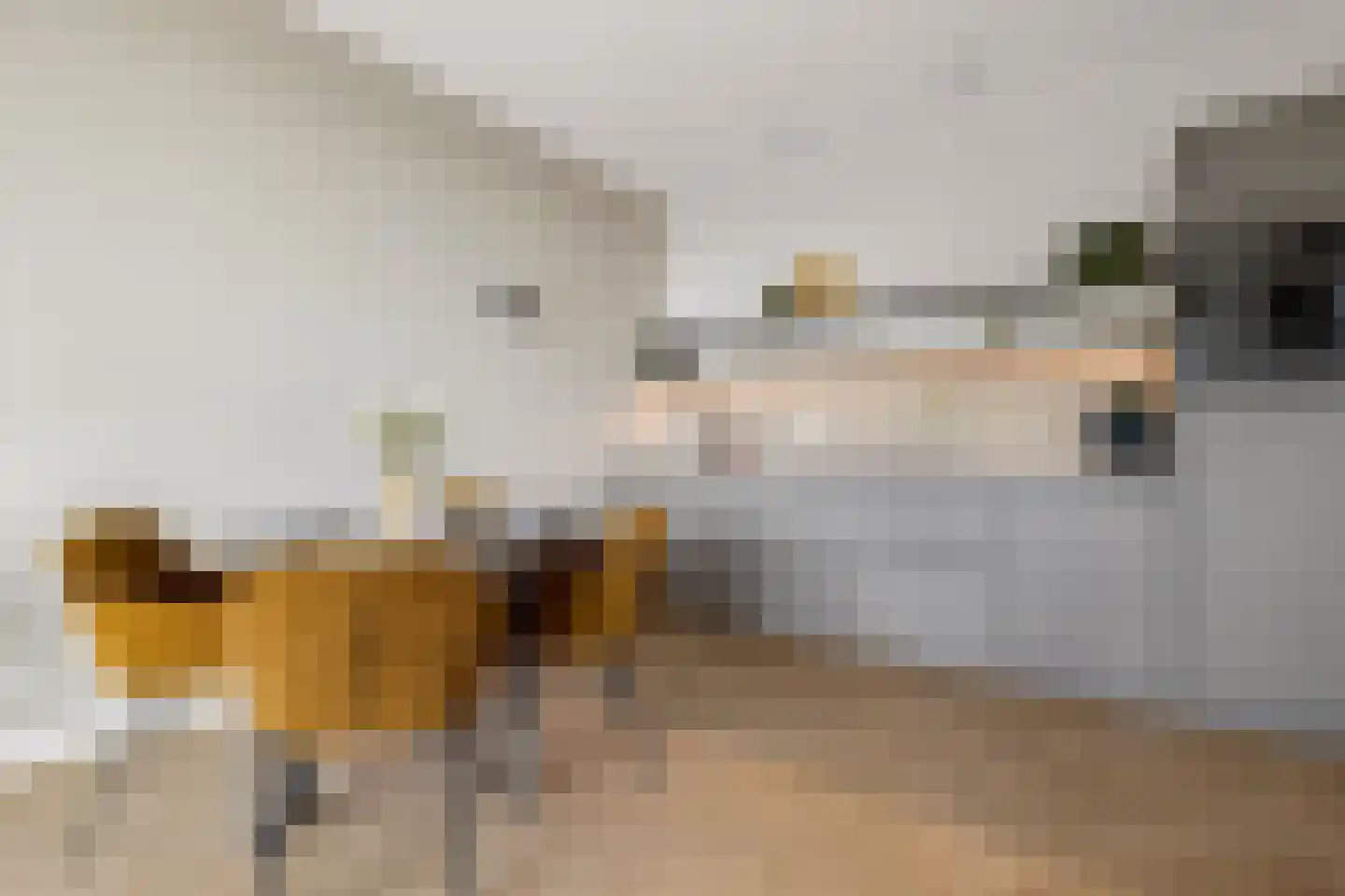 Hoola van Nootenstraat 334 Utrecht thumbnail 5