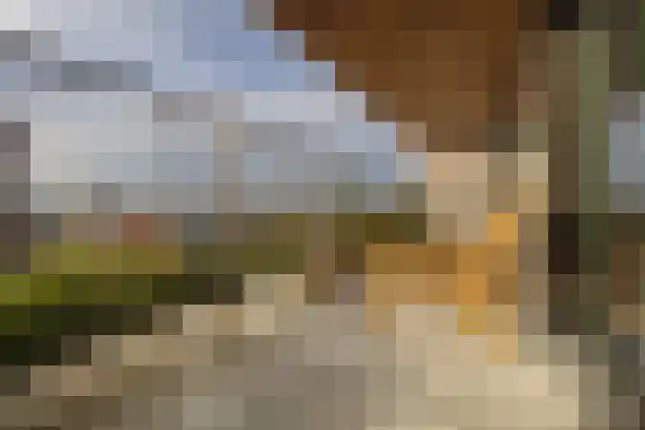 Hoola van Nootenstraat 335 Utrecht thumbnail 4