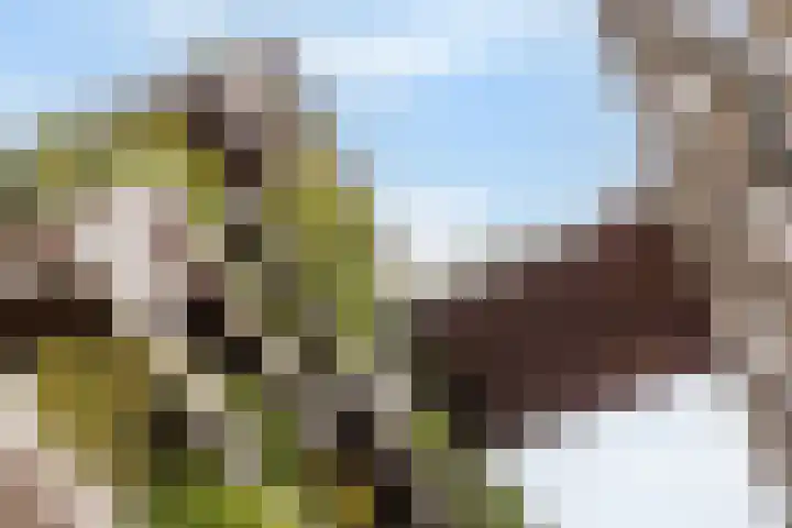 Hoola van Nootenstraat 335 Utrecht thumbnail 7
