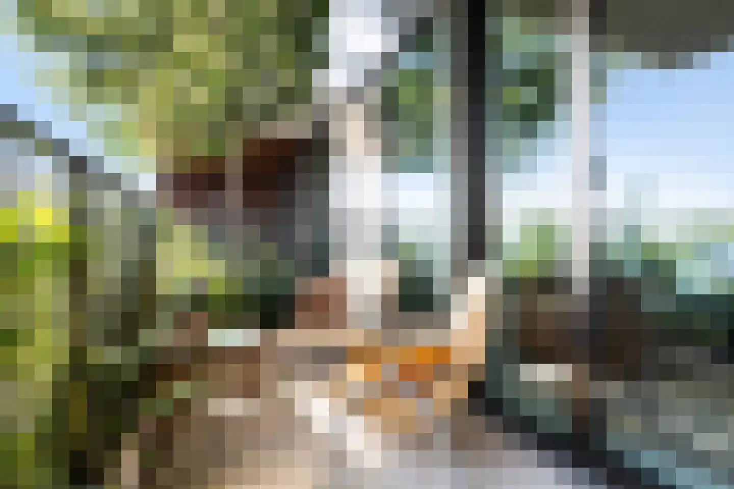 Hoola van Nootenstraat 345 Utrecht thumbnail 23
