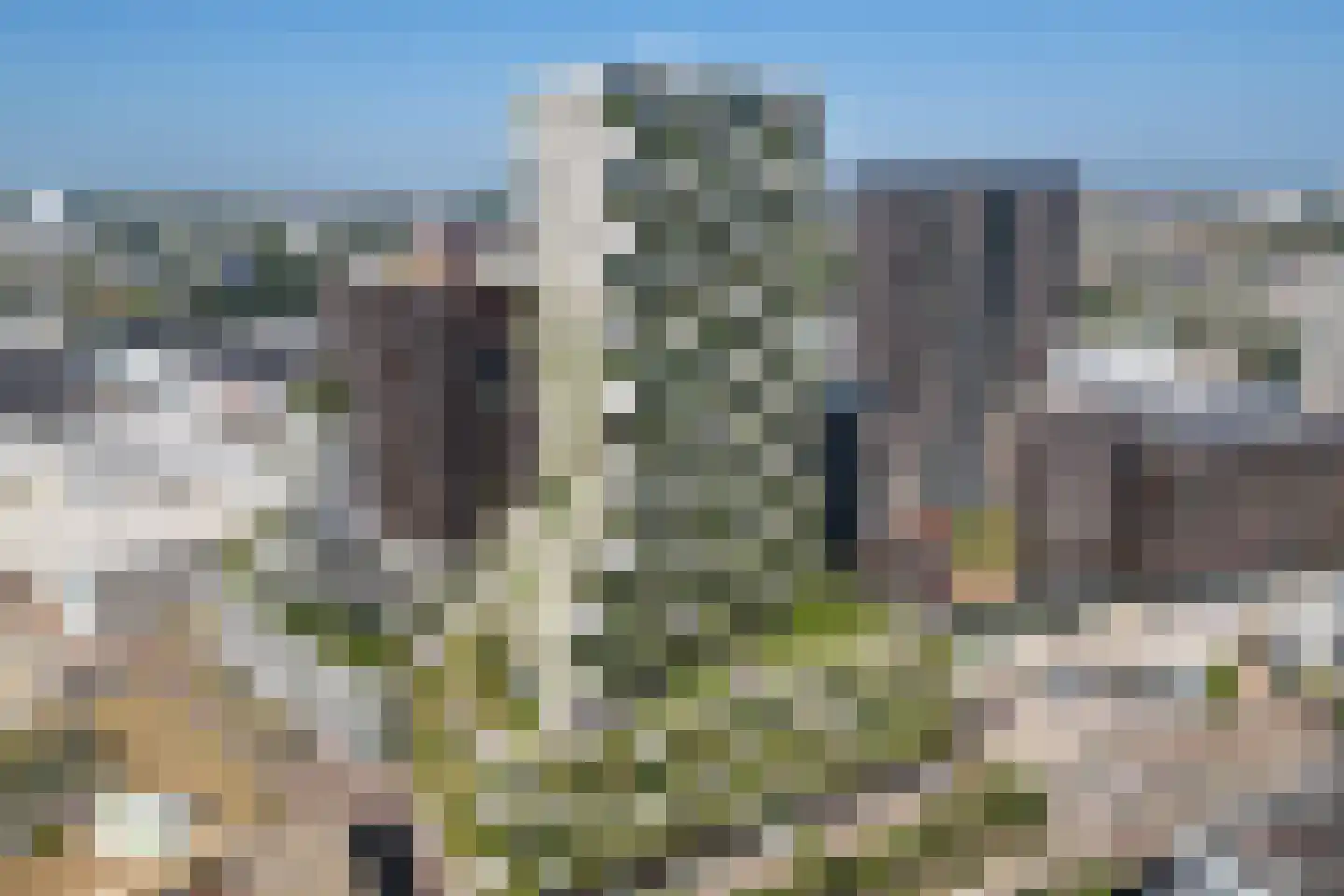 Hoola van Nootenstraat 345 Utrecht thumbnail 5