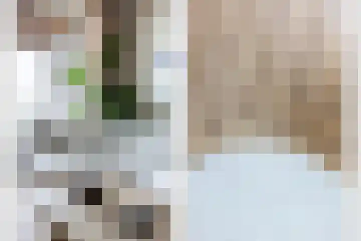 Hoola van Nootenstraat 374 Utrecht thumbnail 12