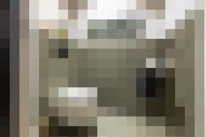 Hoola van Nootenstraat 374 Utrecht thumbnail 28