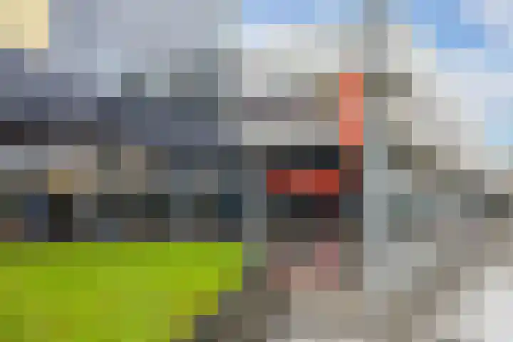 Hoola van Nootenstraat 374 Utrecht thumbnail 55