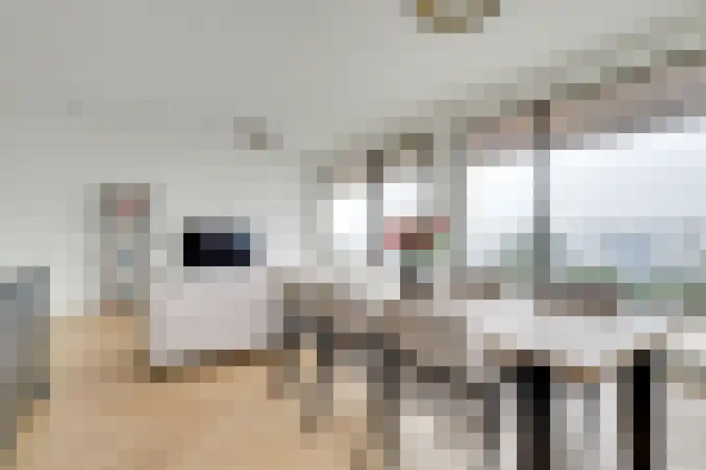 Hoola van Nootenstraat 388 Utrecht thumbnail 16