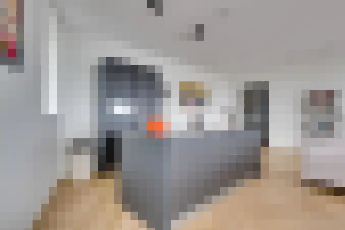 Hoola van Nootenstraat 388 Utrecht thumbnail 19