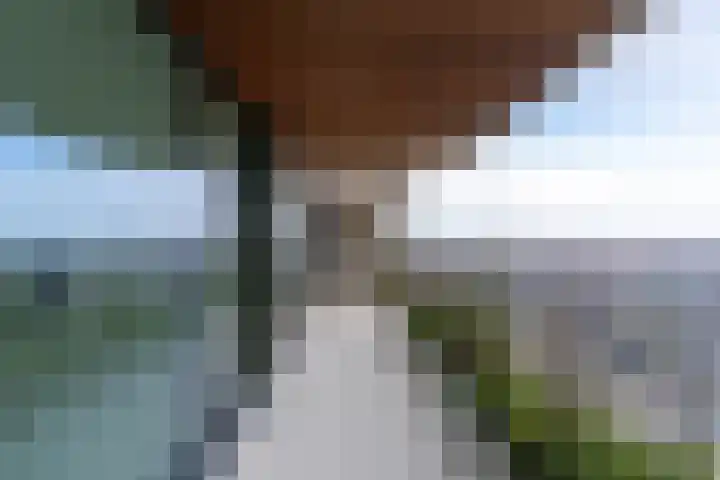 Hoola van Nootenstraat 404 Utrecht thumbnail 22
