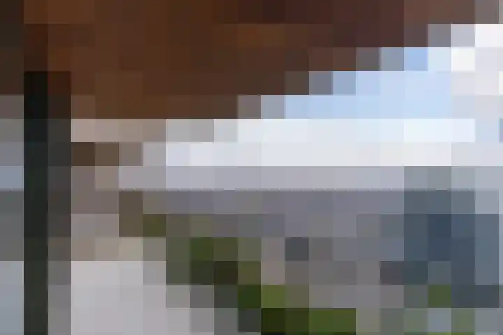 Hoola van Nootenstraat 404 Utrecht thumbnail 23