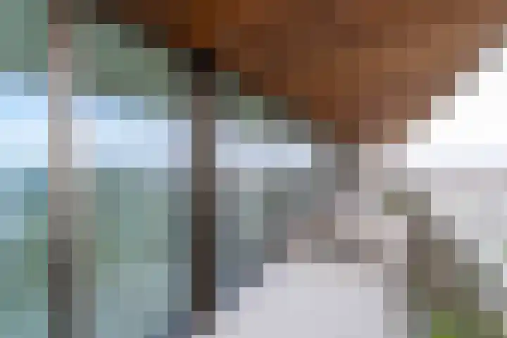 Hoola van Nootenstraat 404 Utrecht thumbnail 36